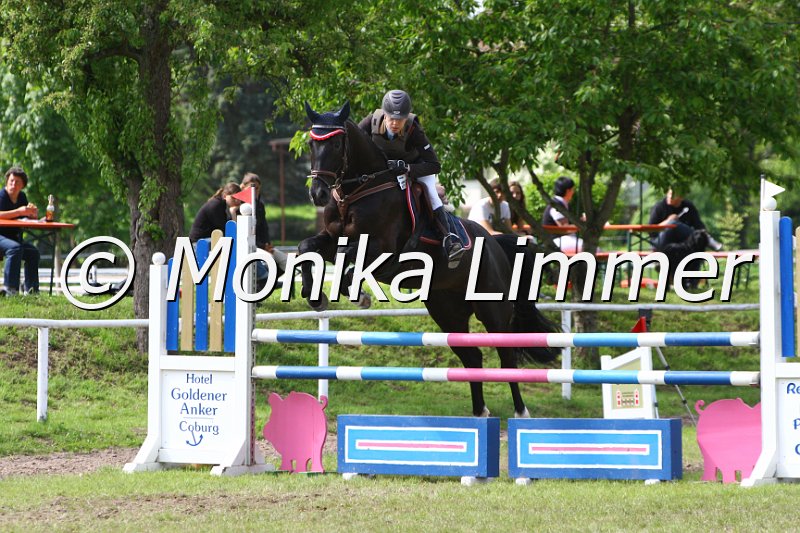 005M6482_Lennox_Springpferde L.JPG